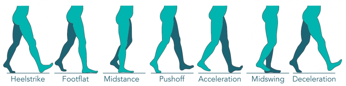 elevate-your-practice-with-accurate-actionable-gait-analysis-data